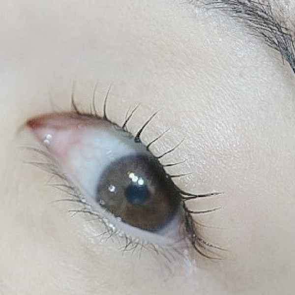 まつげの負担を抑えて自然に上向きへ仕上げた40代向けまつげカールの写真