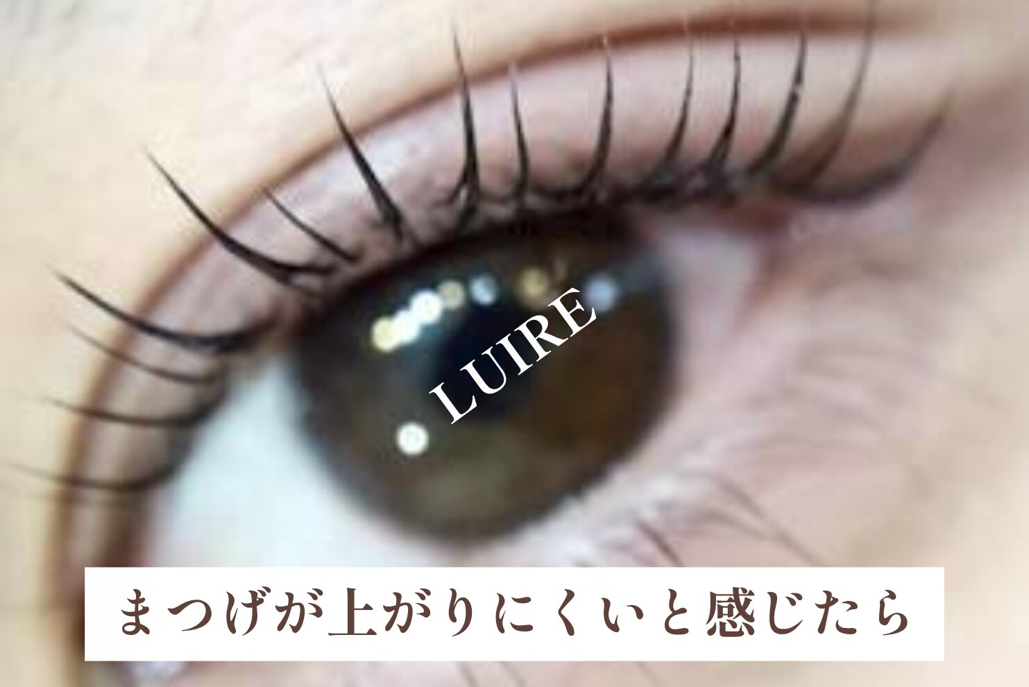 最近、まつげが上がりにくい?40代の目元に合わせたまつげカールの考え方【松本市マツエク&まつげカール専門店LUIRE(ルイール)】